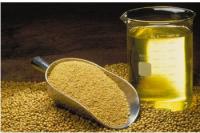 Soybean Oil